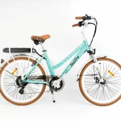 RooDog Polka Dot Step Through Hybrid Electric Bike - Mint Polka