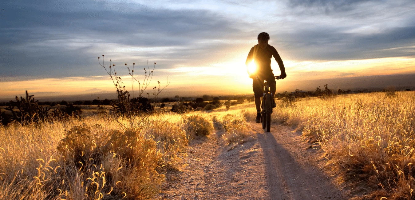 Cheap Hybrid Electric Bikes Store -Cheap Hybrid Electric Bikes Store slata dack till mountainbike 1